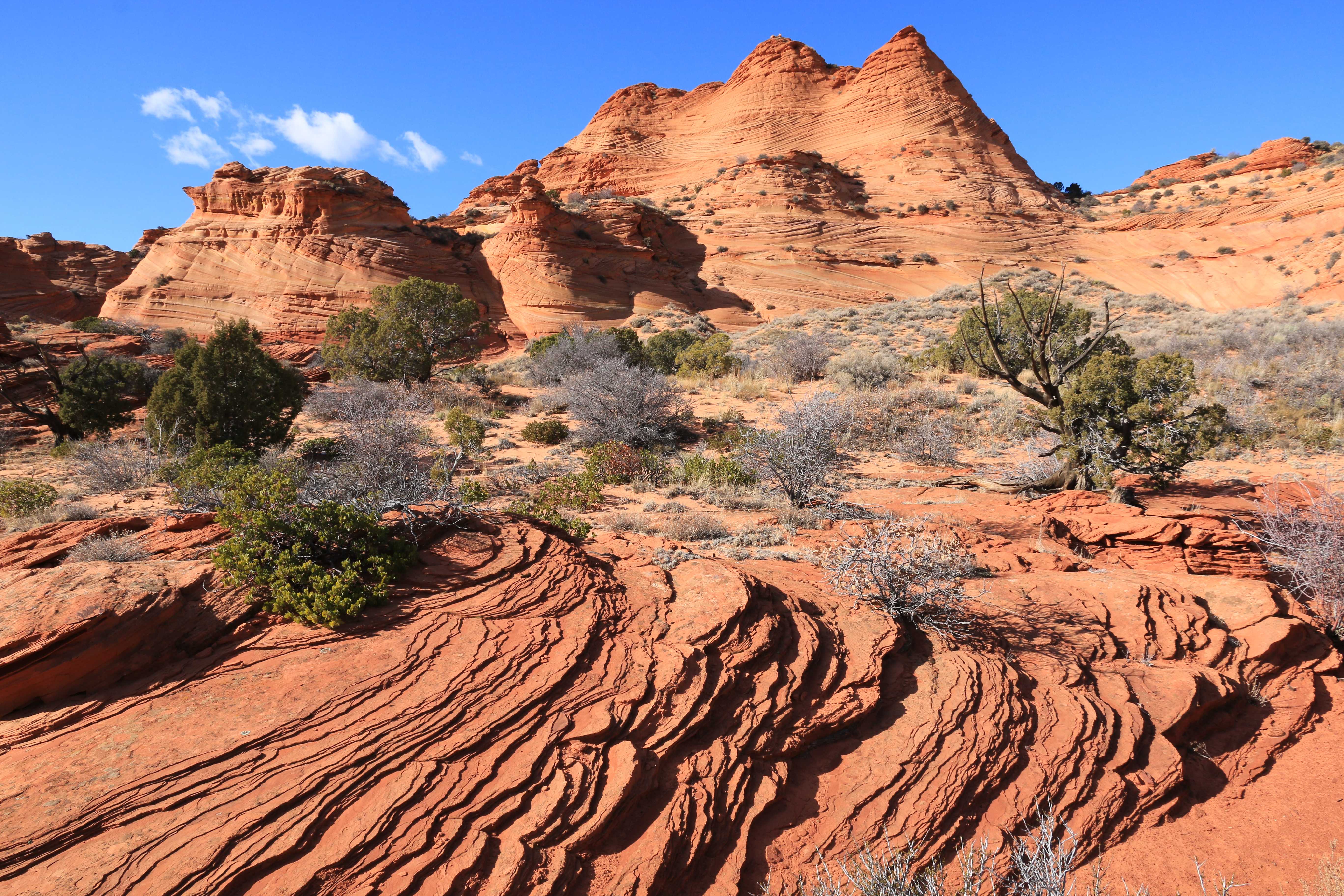 Coyote Buttes
